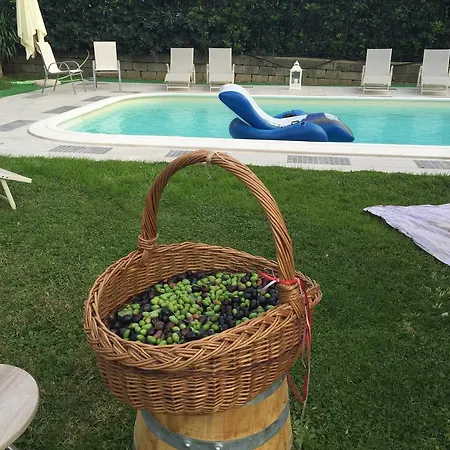 Fiordisole Holiday Holiday home Montopoli in Val d'Arno