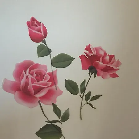 Fiordisole * Montopoli in Val dʼArno