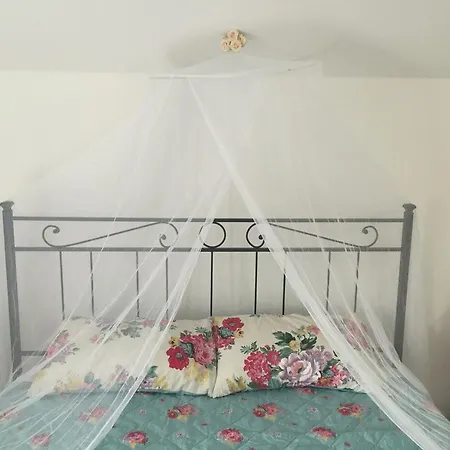 Fiordisole Montopoli in Val dʼArno