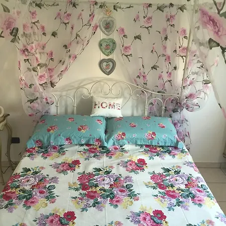 Fiordisole * Montopoli in Val dʼArno