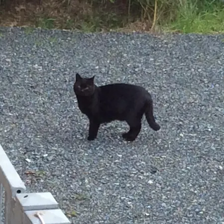 Fiordisole * Montopoli in Val dʼArno