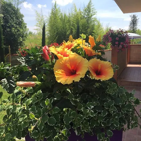 Fiordisole Holiday