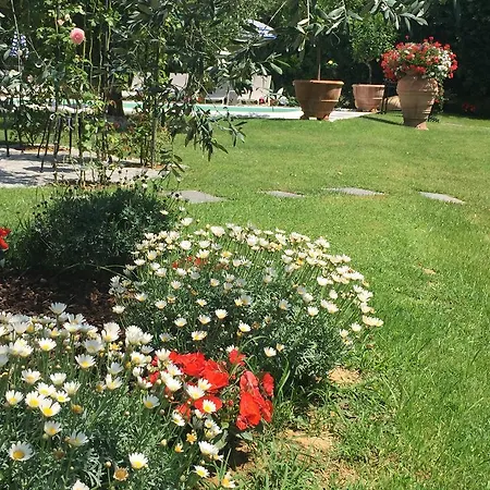 Fiordisole Holiday Holiday home Montopoli in Val d'Arno