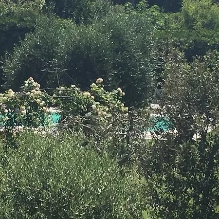 Fiordisole Nyaraló Montopoli in Val dʼArno